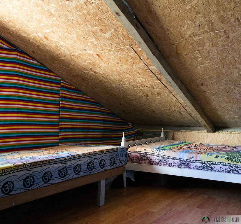 Hostel Viejo Lobo Cabo Polonio Exteriér fotografie
